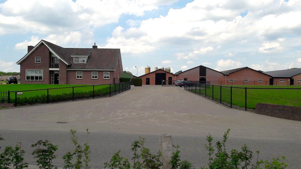 varkenshouderij-van-van-de-wouw-aan-de-oisterwijksebaan-in-heukelom